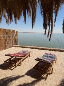 Ảnh trong thư viện ảnh của Taghaghien Island Resort ở Siwa +44 ảnh