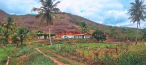 una casa en medio de un campo con palmeras en Daianne Silva Barbosa, en Belém