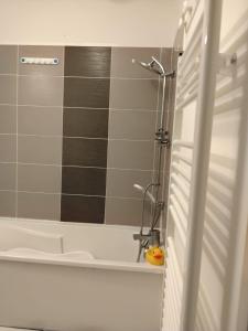 a bathroom with a shower and a sink and a mirror at Maison familiale EXCELLENCE,3 chambres jardin avec jeux, proche gare Bourg en Bresse in Saint-Denis-lès-Bourg +58 photos