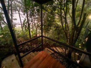 a room with a wooden staircase in a forest at Cabaña Colibri #2 in San Isidro