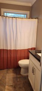 a bathroom with a toilet and a shower curtain at SASA Deer Lodge Superb 6-bedroom house with AC in Richmond Hill +32 photos