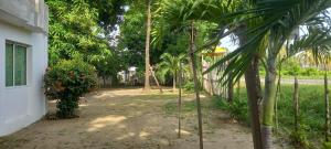 un patio con palmeras junto a un edificio en DLuchy Casa Finca Rural cerca al mar, en San Bernardo del Viento 12 fotos más