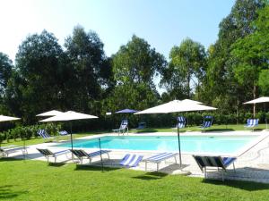 una piscina con sillas y sombrillas en Il Nibbio Reale Country House, en Rocca dʼEvandro