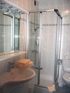 ein Bad mit einer Dusche, einem Waschbecken und einem WC in der Unterkunft Ritas Alm in Turracher Hohe