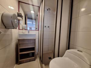 a bathroom with a toilet and a sink and a mirror at lindisimo casona hostal en el centro de santiago in Santiago