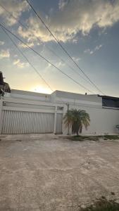 a white building with a palm tree in front of it at Casa para Cop 30 in Belém