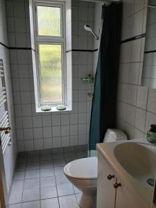 Koupelna v ubytování Green Brook Family 4-6 PAX