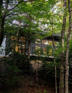 a house in the woods with trees at Cozy Luxury Cabin w Hot Tub, Fire Pit, King Bed in Newry