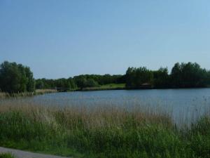 a large body of water with tall grass and trees at 1-bedroom holiday home in Otterndorf