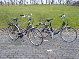 Ποδηλασία στο 1 bedroom apartment ή στη γύρω περιοχή