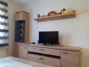 Μια τηλεόραση ή/και κέντρο ψυχαγωγίας στο One-bedroom apartment