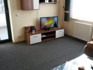 TV a/nebo společenská místnost v ubytování Holiday apartment near Müritz shore
