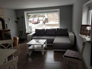 a living room with a couch and a table at Holiday apartment with 2 bedrooms in Langenwolmsdorf