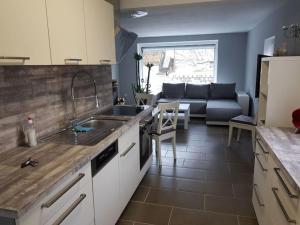 a kitchen with a sink and a living room at Holiday apartment with 2 bedrooms in Langenwolmsdorf
