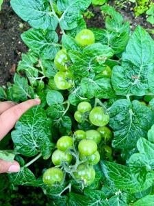 Foto dalla galleria di Hostal Restaurant Gocta a Cocachimba Altre 31 foto