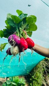 Foto dalla galleria di Hostal Restaurant Gocta a Cocachimba