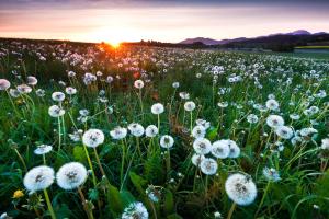 Fotografie z fotogalerie ubytování Ferienwohnung Fuchsbau v destinaci Peiting + 3 fotografie