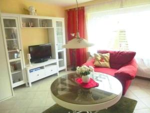 Μια τηλεόραση ή/και κέντρο ψυχαγωγίας στο One-bedroom apartment