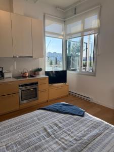 Kuchyň nebo kuchyňský kout v ubytování Downtown Studio Rental