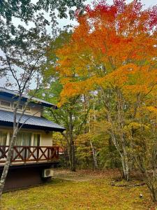 a house in the woods with autumn foliage at Villa Lina in Naganohara