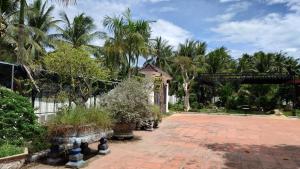 une cour avec des palmiers et un bâtiment dans l'établissement Khách sạn Lavender Hoa châu resort, 