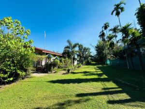a green yard with palm trees and a house at Grass Yellow Kaziranga in Kāziranga