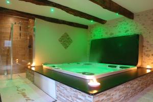 a bath tub in a room with a green wall at La Bigourd'in in Escoubès-Pouts