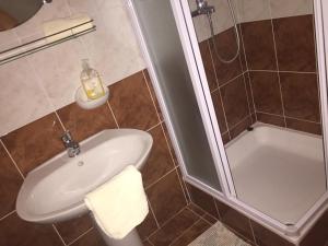 La salle de bains est pourvue d'une douche et d'un lavabo. dans l'établissement Guesthouse Gligora, à Mandre