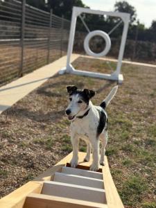 Galeriebild der Unterkunft MASSERIA SCALEDDA in Manduria