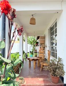 Vườn quanh Bomani House