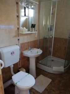a bathroom with a toilet and a sink and a shower at Cazare Stefan in Curtea de Argeş