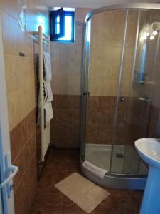 a bathroom with a shower and a sink at Cazare Stefan in Curtea de Argeş