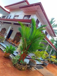 a house with potted plants in front of it at Wijaya Home Stay in Anuradhapura