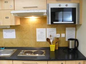 a kitchen counter with a stove and a microwave at Ubytovna Marie in Olomouc