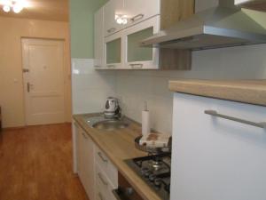 uma cozinha com um lavatório e um fogão forno superior em Apartment Domi Kvatric em Zagreb