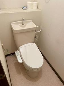 a bathroom with a white toilet and a sink at いちほの宿 友秀 in Makinohara