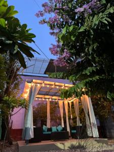 a pergola with white curtains and lights at Nani s House - Warmth & Comfort in Dehradun