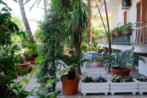 un jardin avec de nombreux pots de plantes et d'arbres dans l'établissement Walhalla, à Alba Adriatica