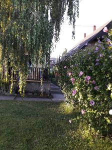 Fotografie z fotogalerie ubytování Toldi Apartman v destinaci Keszthely