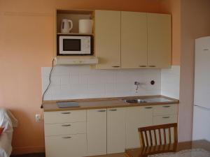 Kuchyňa alebo kuchynka v ubytovaní Apartment Maka
