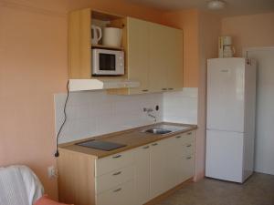 Kuchyňa alebo kuchynka v ubytovaní Apartment Maka