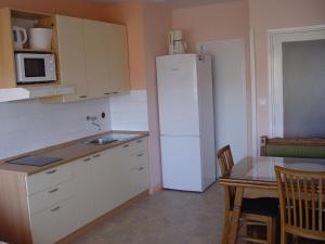 Kuchyňa alebo kuchynka v ubytovaní Apartment Maka