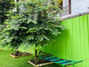 Κήπος έξω από το Countryroad Dickwella