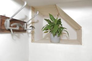 a plant in a wooden shelf on a wall at Ca' du Pitta in Genova