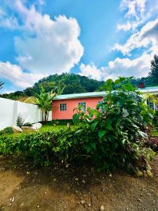 Phong cảnh thiên nhiên gần nhà nghỉ B&B