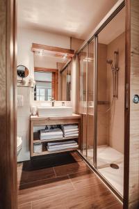 a bathroom with a shower and a sink and a toilet at Haus Kapeller in Sankt Jakob in Haus