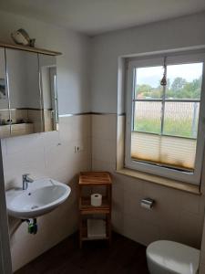 a bathroom with a sink and a window and a toilet at Ferienhaus Frank in Gellenthin