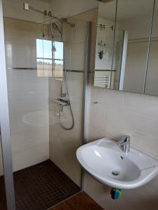 a bathroom with a sink and a shower with a mirror at Ferienhaus Frank in Gellenthin