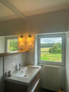 a bathroom with a sink and a large window at Family Home In The Alpes Mancelles in Moulins-le-Carbonnel