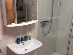 a bathroom with a sink and a shower at Ferienwohnung Stork in Möhnesee +14 photos